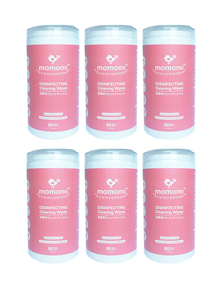 Disinfecting Cleaning Wipes (NEW!)